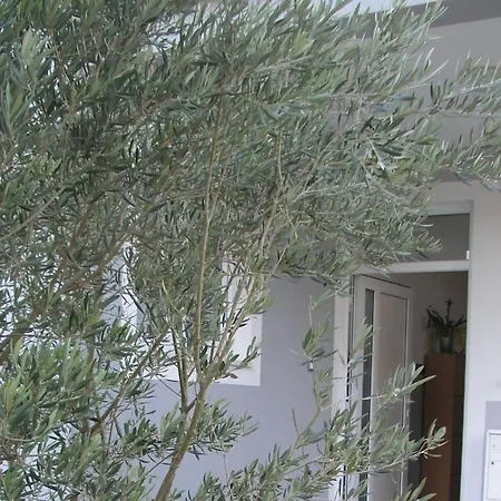 Pensjonat Apaprtments House Olea Near The *