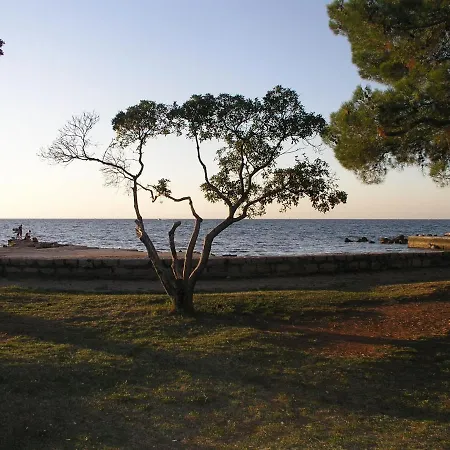 Apaprtments House Olea Near The Pensjonat Umag