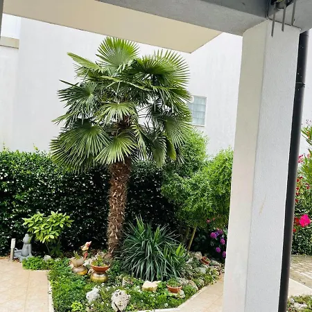 Apaprtments House Olea Near The *