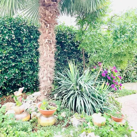 Apaprtments House Olea Near The
